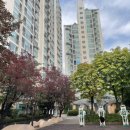 대림늘푸른어린이집 이미지