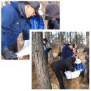 마봉재보루 이미지