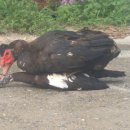 동녁농장 이미지