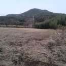 단일농장 이미지