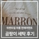 골든특수세탁 | [텐트세탁] 위켄트립 마롱 면에어텐트 곰팡이제거 후기, 방치하면 얼룩 남아요!