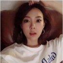 김장미 카카오 검색결과