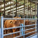 재석농장 이미지