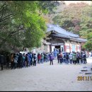 신명초등학교 이미지