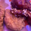 송림카써비스 이미지