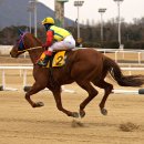 경마공원대로 이미지