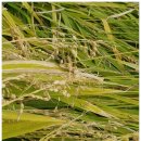 재열농장 이미지