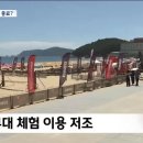 해운대 해수욕장 축제 근황 이미지