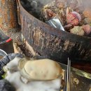 청수동물약국 이미지