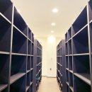 펫로스 케어 이미지