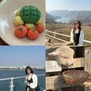 샘밭목장 이미지