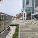 제10회 마포구청장배 꿈나무 바둑대회 이미지