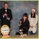 골든힐폼 이미지