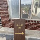 에그;펄163