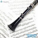 클라리넷 집중레슨 이미지