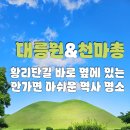 대지광고 - 관악구 | 경주 대릉원, 천마총 안가면 아쉬운 역사 명소(입장료 및 방문 후기 등)