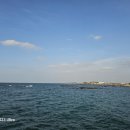 신영로 | 제주 서귀포 대정 맛집 ~보말칼국수 맛집 옥돔식당