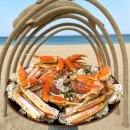 대게먹방 이미지