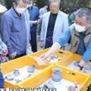 상주 금흔리 이부곡토성 이미지