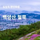 백양산 철쭉산행 이미지