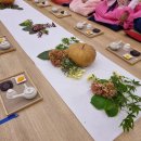 10월의 효,다도 수업🍵(대추차,감) 이미지