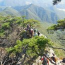 금강(부산) 이미지