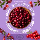 쿨펫동물병원 구미점 | 맛도리+최고함량+최적배합, 바이타마이즈 크랜베리 구미 (구매하신 언니들이 먼저 요청주시는 찐템이에...