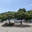 GR(울진군)-[기성로]-상-11 | 강아지랑, 경북 포항 1박 2일 여행 코스 후기 (스페이스 워크, 카페, 꽈배기, 울진 영명사, 동동주) 2일차
