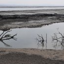 나문재관광농원 이미지