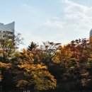 경희대학교 이미지