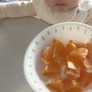 시우로 | 시우보러 광주로 당일치기