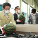 농민유통 이미지