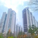 현대성우 공인중개사사무소 | ✨수지구청역 신정마을 8단지 현대성우아파트 소개✨