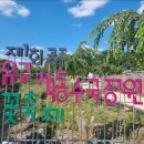 아마트24공주유구점 | [공주 가볼만한곳] 6월 꼭 가야 할 공주 수국정원 꽃축제 있어요! 야간 개장까지 완벽 총정리
