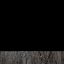 선 목장 이미지