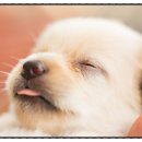 행복한외과병원 이미지