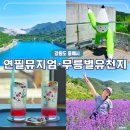 강원도 동해 연필뮤지엄 무릉별유천지 아너드투어 당일치기 여행
