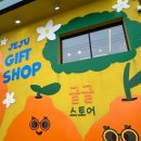 한양카인테리어 | 🧡 황듀의 행복한 제주도 1박 2일 후기 🍑