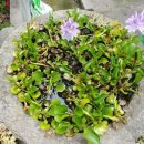 인보노인복지센터 이미지