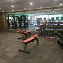 S-body 휘트니스 이미지