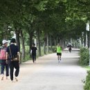 재난CCTV 이미지