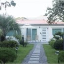 나무의 꿈 이미지