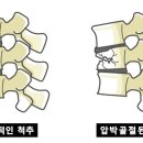 도움요양원 이미지