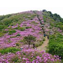 제798차 4월11일 정병산, 비음산 [566M] 창원 4.5시간 소요 이미지