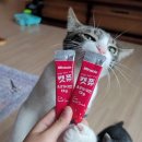 캣쮸 | 내돈내산 | 고양이 간식 '캣쮸' 급여 후기