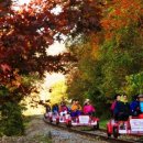 사계절 태권도장 이미지