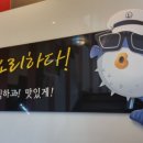 미스터복어 이미지