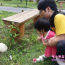 청도.어울림글램핑타운 이미지
