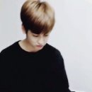 어분 Daum카페