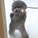 미향식당